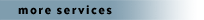 brian allemana :: chicago web developer :: more services