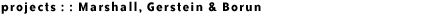 brian allemana :: chicago web developer :: projects :: Marshall, Gerstein & Borun